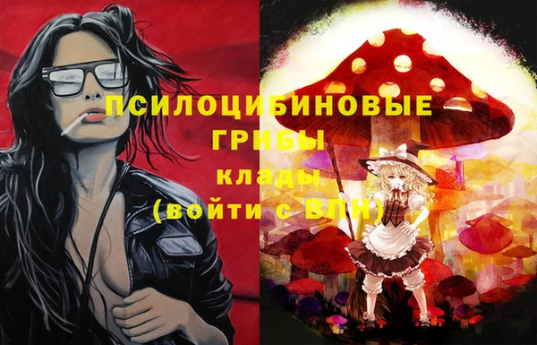 спиды Абаза