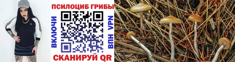 Псилоцибиновые грибы GOLDEN TEACHER  купить   гидра ссылка  Емва 